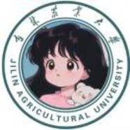 墙墙子权益部
