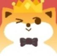 xy13495138