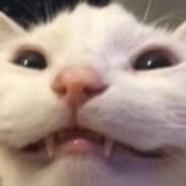狐友169703705615806