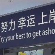 狐友169415233984102