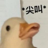 136628905