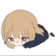 额11223