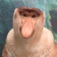 53467