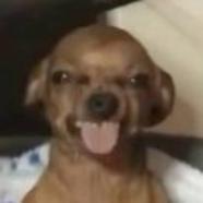 abcdefj22446810