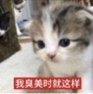 啦啦虫