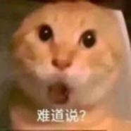 用户3247199