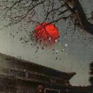 用户名159357456