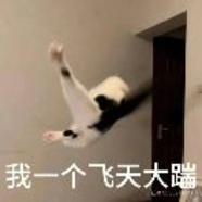 狐友171014968442407