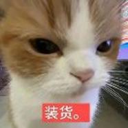 世界和平666666