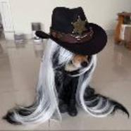 妍闫