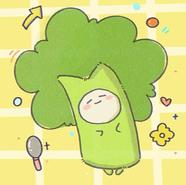 西兰花cc