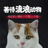 小猫小狗天下无敌