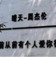 纳西索斯0526