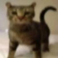 用户688528828524
