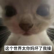 飞天土豆泥