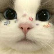 12365984