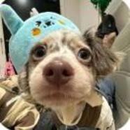 狐友167871003489005