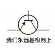 折耳根68