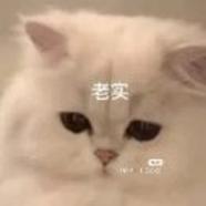 啊啊啊莫莫莫莫