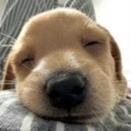 Janasnjana