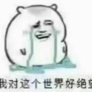 小豆豆打豆豆