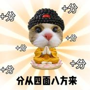 飞天小汝警