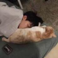 贪吃的Zzzz