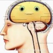 一碗泡面要加两个卤蛋