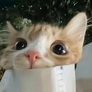 都是牛奶巧克力