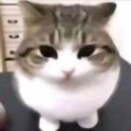 777555-