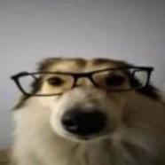 qqpp101
