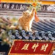 罐装127