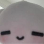 zhuwhaoyun