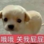 上学比做零累