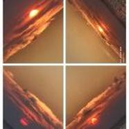 法露露