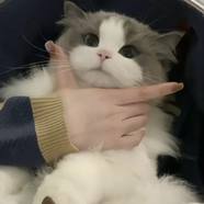 尧瑶-