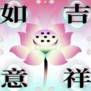 互友11245