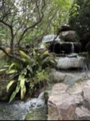 免费帮测灵根123