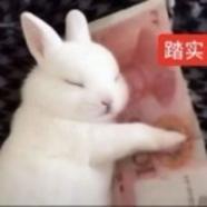 嗯嗯嗯然后呢