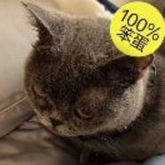 连起来