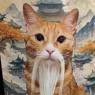 白烁-2025