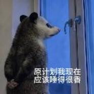 咕咕_14