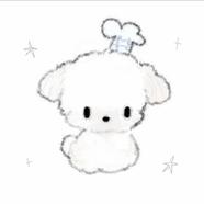 shiqi_m