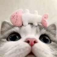 永慕酱
