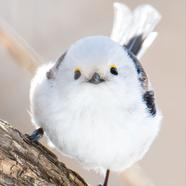 yasiii01