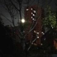 一蓑烟雨任平生31