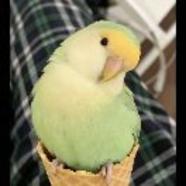 烹龙炮凤
