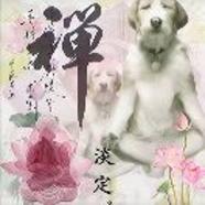 一被压力就会死