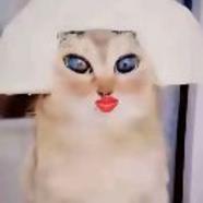 穷苦的农村人78