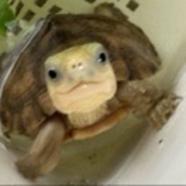 785555-